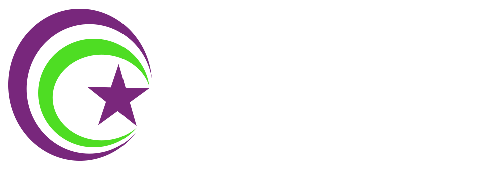 STARTECH PACIFIC LTD